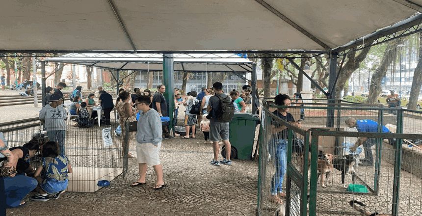 Sebeal realiza feira de adoção de animais no Parque Halfeld neste fim de semana
