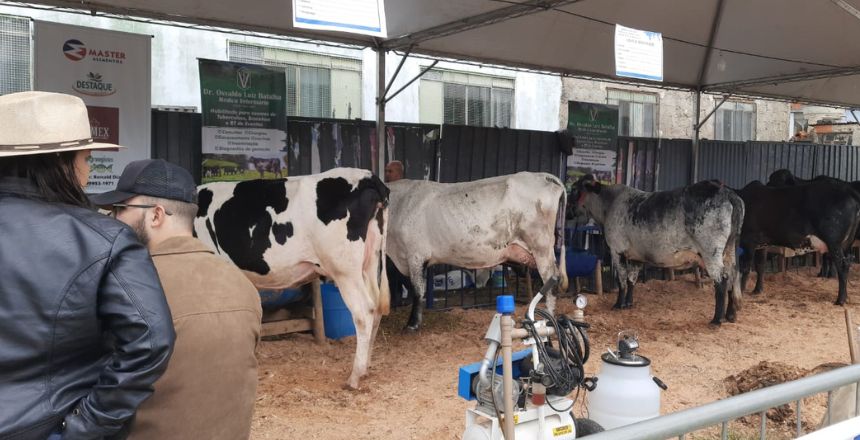 Circuito agropecuário de Juiz de Fora terá 14 eventos entre junho e setembro