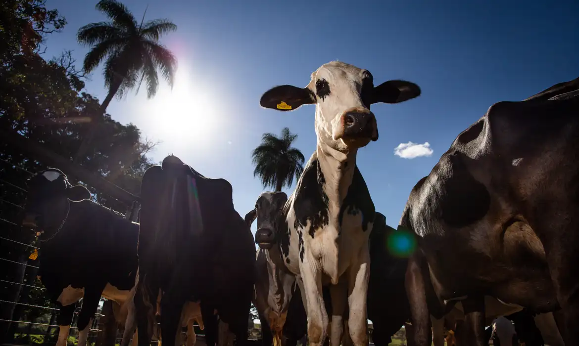 União Europeia oficializa veto à carne brasileira, mel, peixe e tripas a partir de setembro