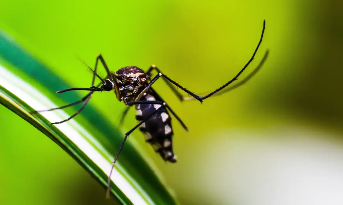 Agentes intensificam ações contra a dengue em bairros de Juiz de Fora nesta quinta