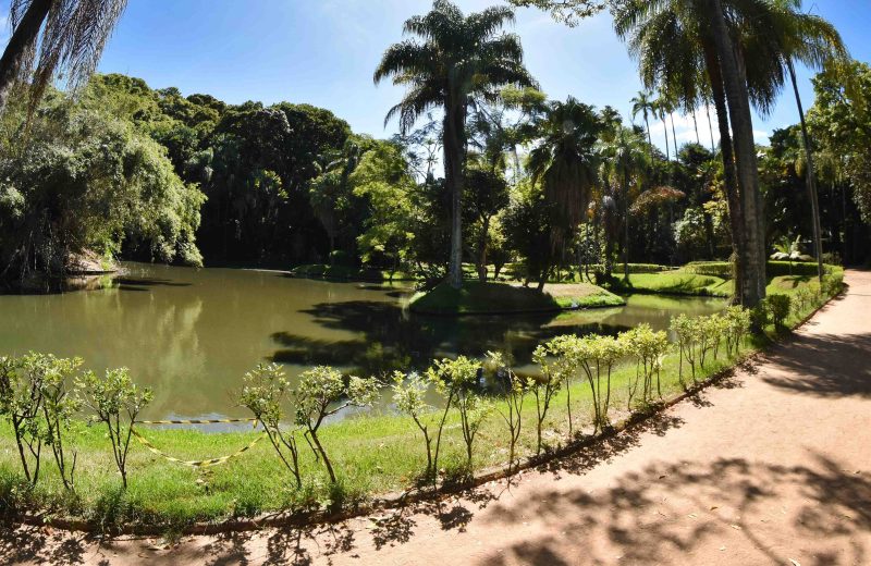 Férias no Museu Mariano Procópio terão oficinas, visitas guiadas e atividades gratuitas em Juiz de Fora