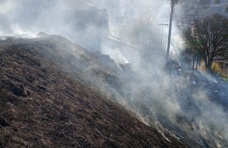 Incêndio atinge área de pastagem no Estrela Sul, em Juiz de Fora