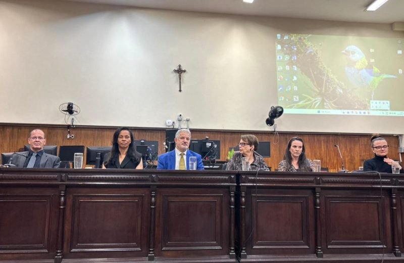 1ª Reunião Pública da Rede de Enfrentamento à Violência Doméstica (Revid) é realizada em Juiz de Fora
