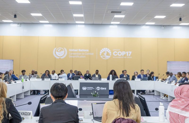 COP17 caminha para novo adiamento de acordo de combate às secas