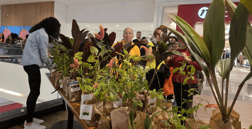 Museu Mariano Procópio e Shopping Jardim Norte promovem distribuição de mudas no Parque — Imagem: Prefeitura de Juiz de Fora