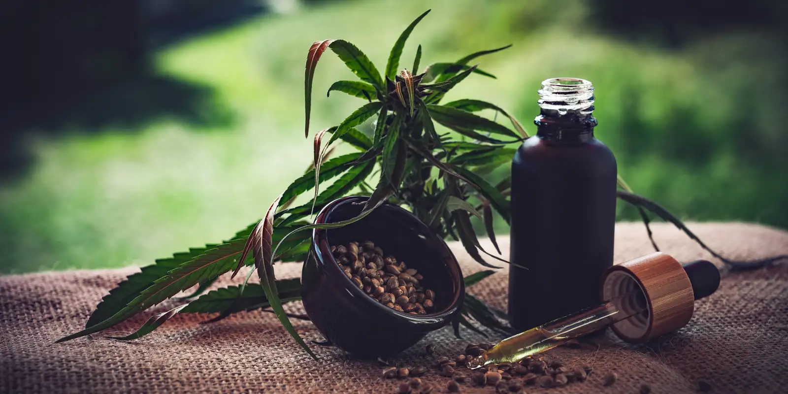 Para associações, normas ainda deixam pontos em aberto sobre cannabis — Imagem: Agencia Brasil
