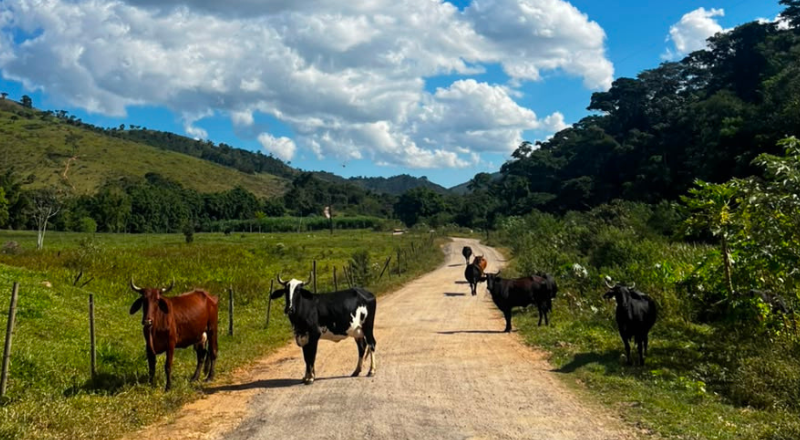 PJF lança Caminhos da Produção para impulsionar o turismo rural na próxima sexta-feira, 25