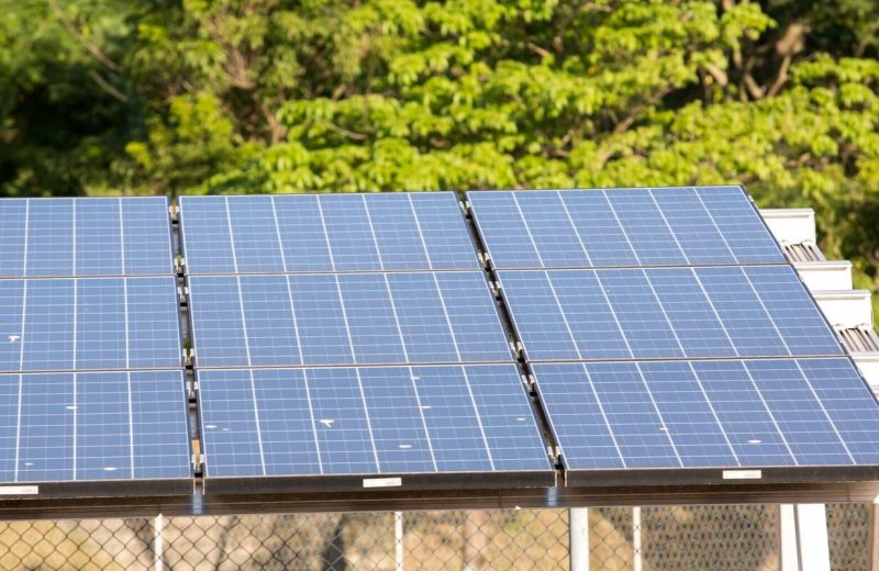 5º leilão do Eco Invest atrai quase R$ 50 bi para investimentos verdes