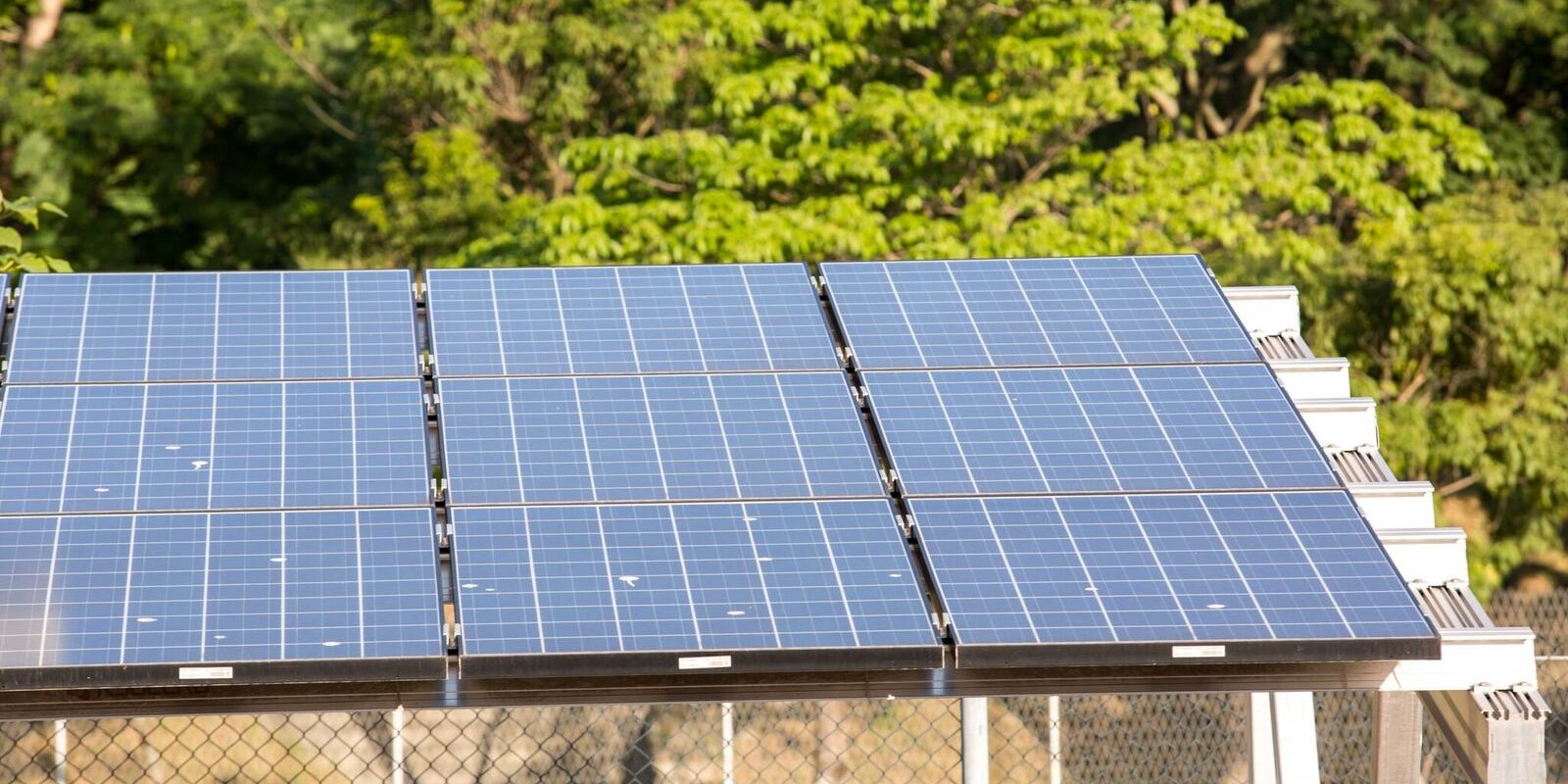 5º leilão do Eco Invest atrai quase R$ 50 bi para investimentos verdes — Imagem: Agencia Brasil