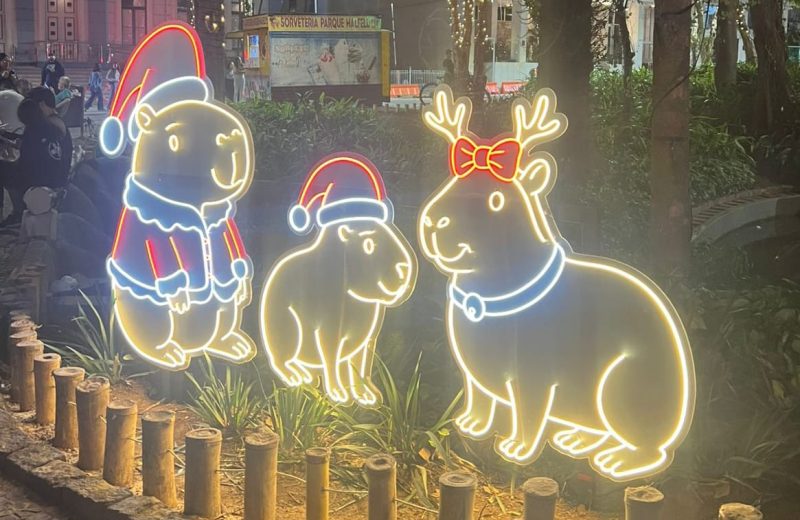 Decoração de fim de ano em Juiz de Fora tem edital de R$ 1,9 milhão