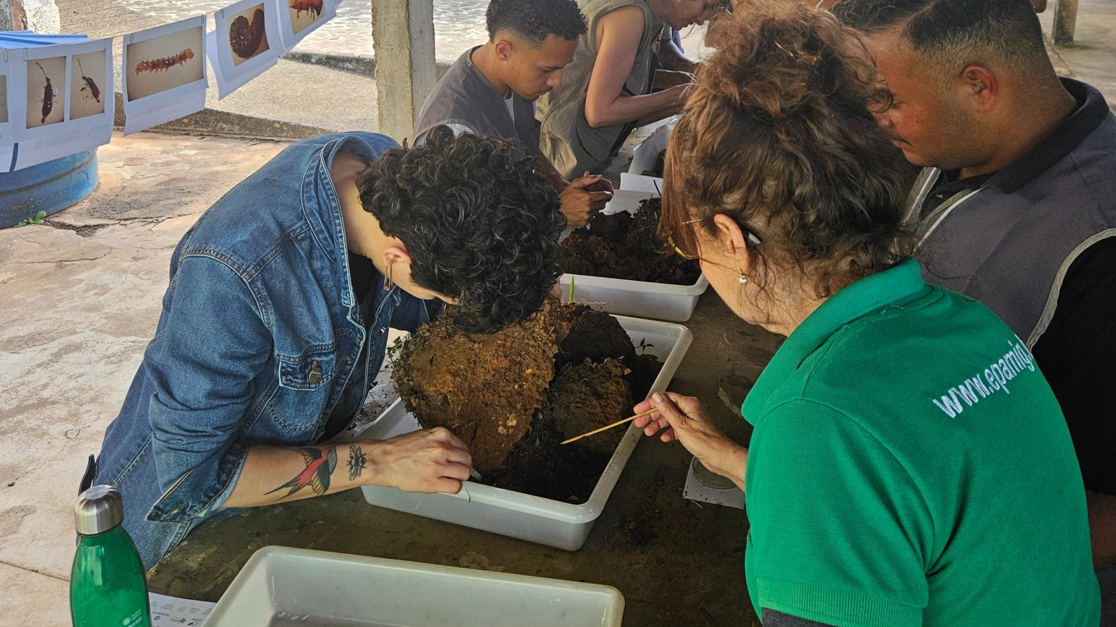 Araponga recebe terceira edição de curso da série Cafeicultura Orgânica da Epamig — Imagem: Agencia Minas