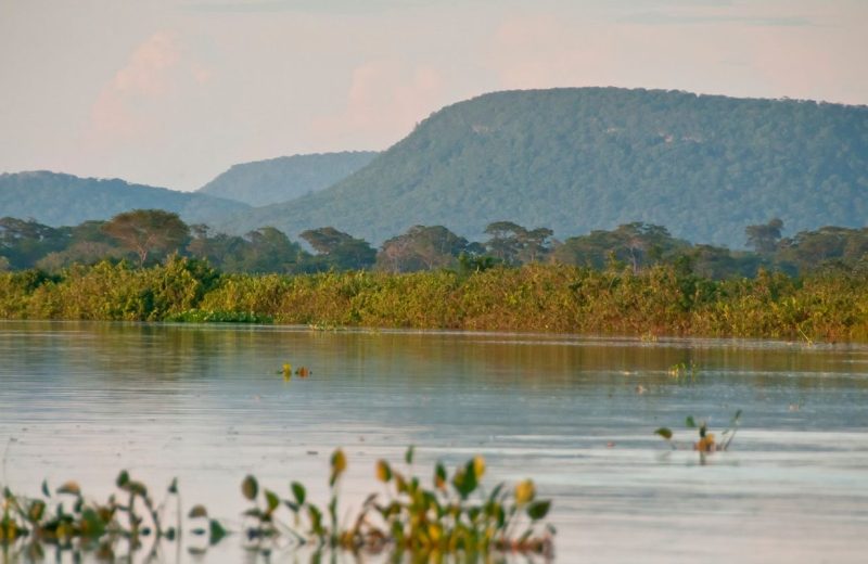 Cerrado brasileiro perdeu 13,9 milhões de hectares de margens de rios