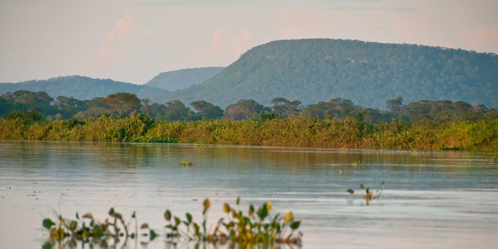 Cerrado brasileiro perdeu 13,9 milhões de hectares de margens de rios — Imagem: Agencia Brasil