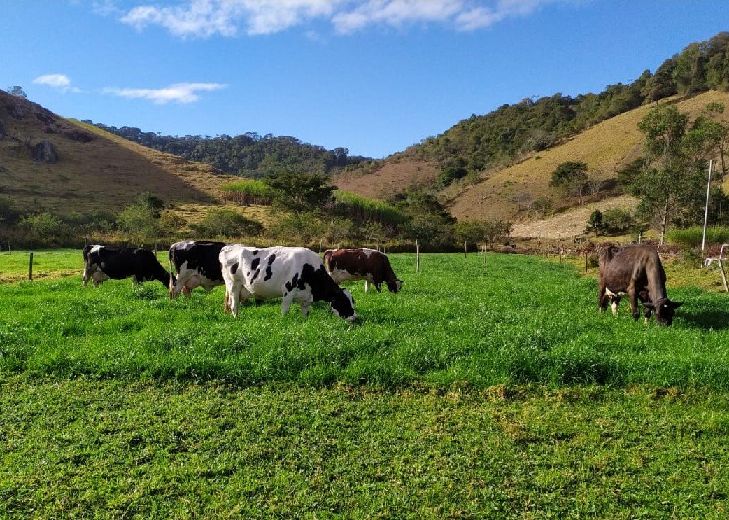 Emater-MG orienta pecuaristas com cartilha sobre construção de cercas elétricas para manejo do rebanho — Imagem: Agencia Minas