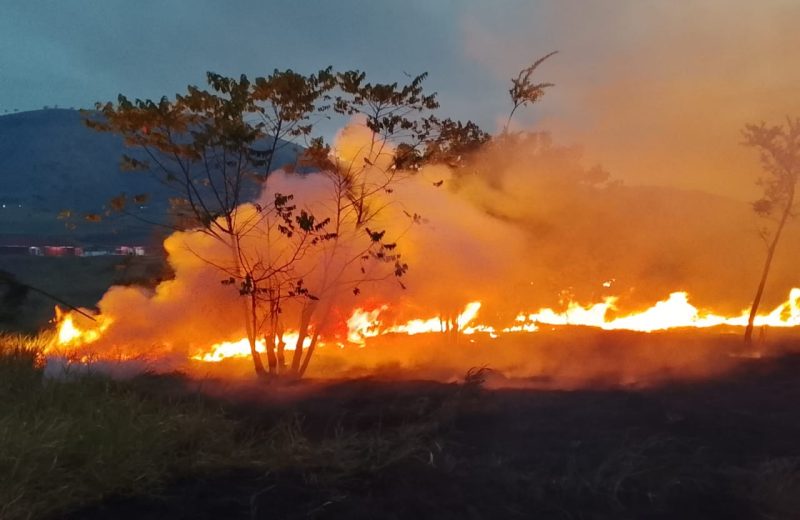 Incêndio em terra Maxakali: MPMG dá 24 horas para Bertópolis garantir água e alimentos às famílias indígenas | Portal