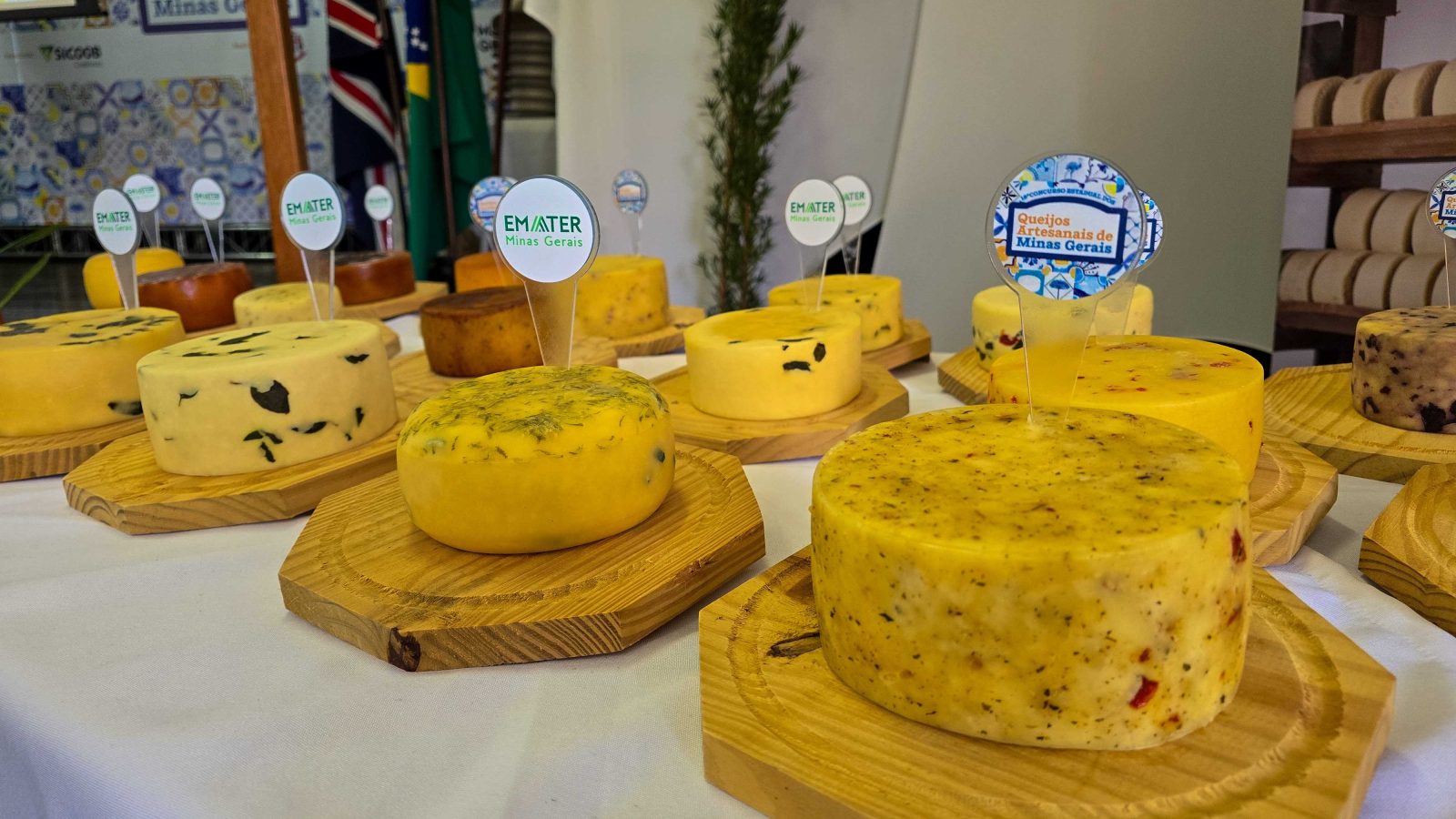 Julgamento dos finalistas do Concurso Estadual dos Queijos Artesanais de Minas Gerais acontece na próxima quarta-feira (28/10) — Imagem: Agencia Minas