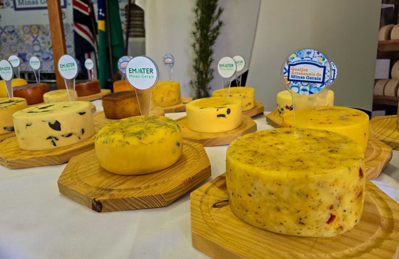 Julgamento dos finalistas do Concurso Estadual dos Queijos Artesanais de Minas Gerais acontece na próxima quarta-feira (28/10)