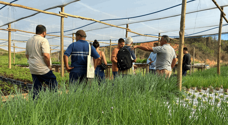 PJF abre inscrições para o 2º Encontro de Produtores da Horticultura com foco em Segurança Alimentar e Hídrica