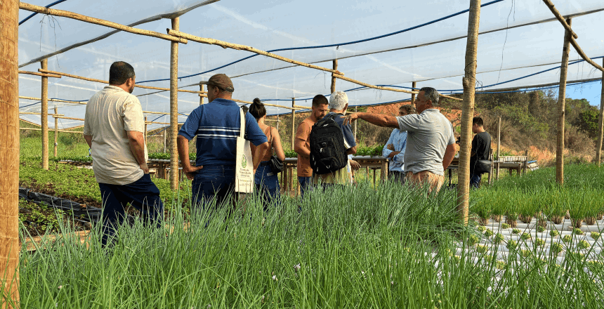 PJF abre inscrições para o 2º Encontro de Produtores da Horticultura com foco em Segurança Alimentar e Hídrica — Imagem: Prefeitura de Juiz de Fora