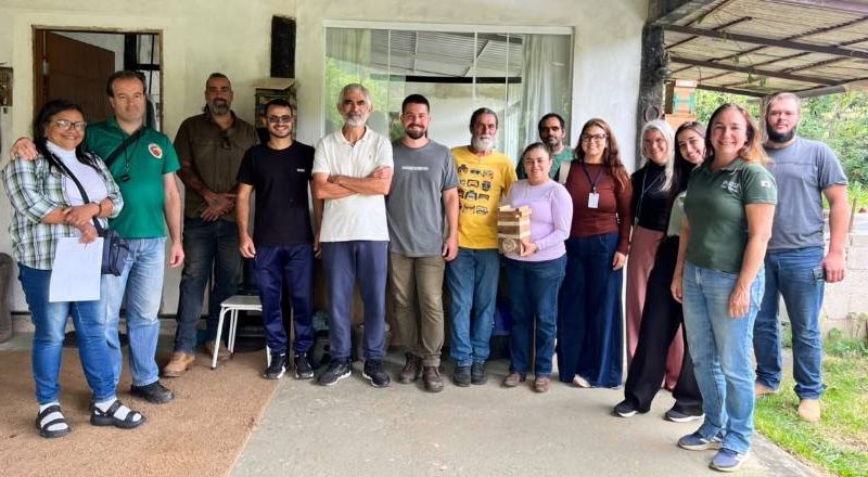 Produtores participam de Dia de Campo sobre criação e manejo de Abelhas sem ferrão