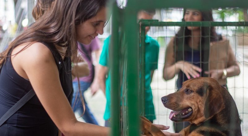 Sebeal amplia rede de apoio para proteção de animais em situações de emergência