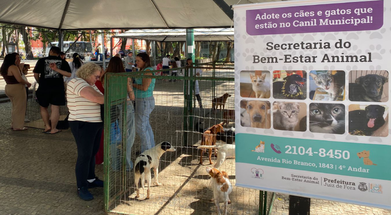 Sebeal realiza 31º evento de adoção responsável no Parque Halfeld neste sábado, 10