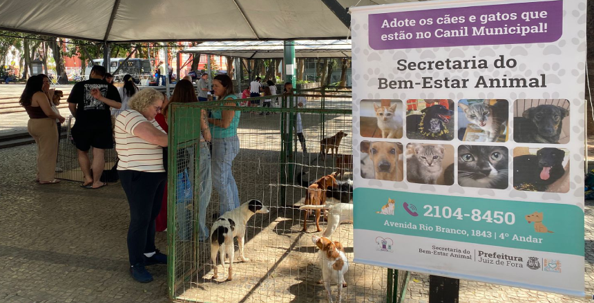 Sebeal realiza 31º evento de adoção responsável no Parque Halfeld neste sábado, 10 — Imagem: Prefeitura de Juiz de Fora